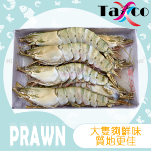 越南特大原隻虎蝦皇(6-8隻/盒)