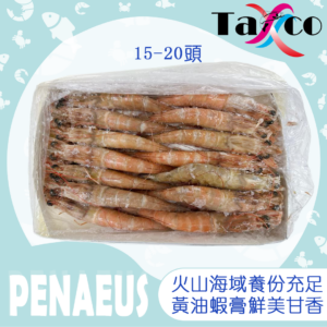 厄瓜多爾原隻野生棕蝦 16/20 (黃油蝦)