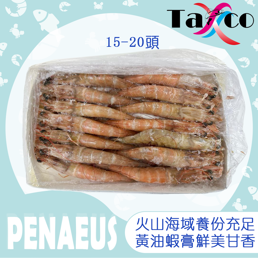 厄瓜多爾原隻野生棕蝦 16/20 (黃油蝦)