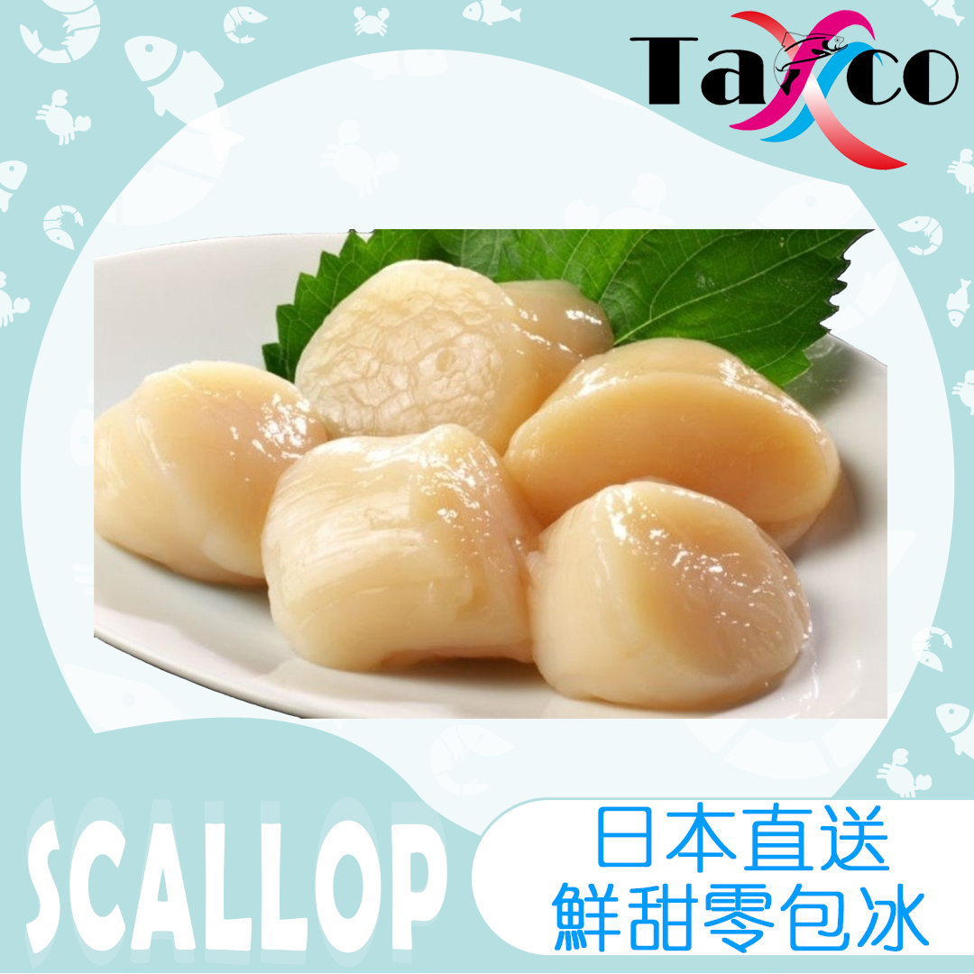 日本剌身帶子 3S (1公斤41-50隻)