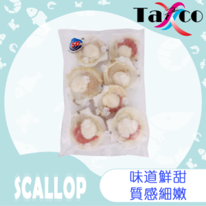 青島半殼扇貝 (1公斤7-8隻)