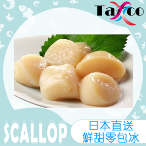 日本剌身帶子 M (1公斤26-30隻)